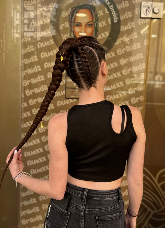 Ponytailbraids 02